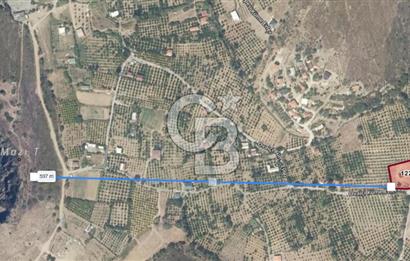 KARABURUN BADEMBÜKÜ'nde 3.157 m² YATIRIMLIK TARLA!