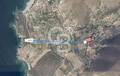 KARABURUN BADEMBÜKÜ'nde 3.157 m² YATIRIMLIK TARLA!