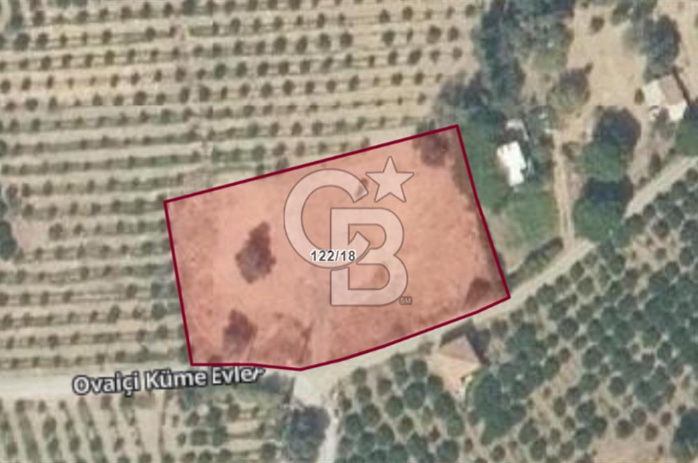 KARABURUN BADEMBÜKÜ'nde 3.157 m² YATIRIMLIK TARLA!