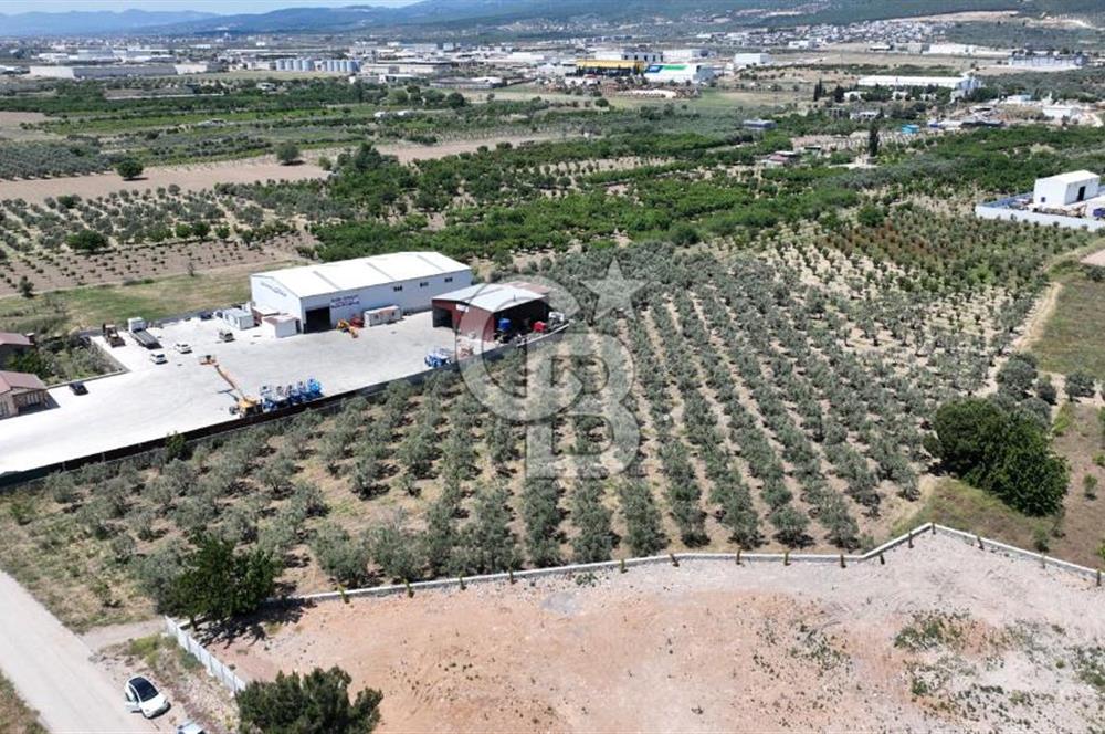 Kemalpaşa Akalan’ da Satılık Arazi
