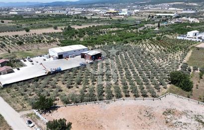 Kemalpaşa Akalan’ da Satılık Arazi
