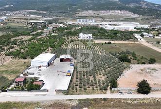 Kemalpaşa Akalan’ da Satılık Arazi