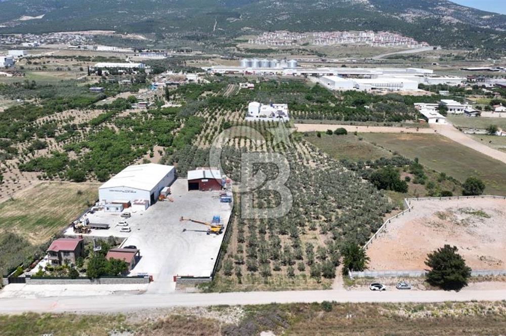 Kemalpaşa Akalan’ da Satılık Arazi