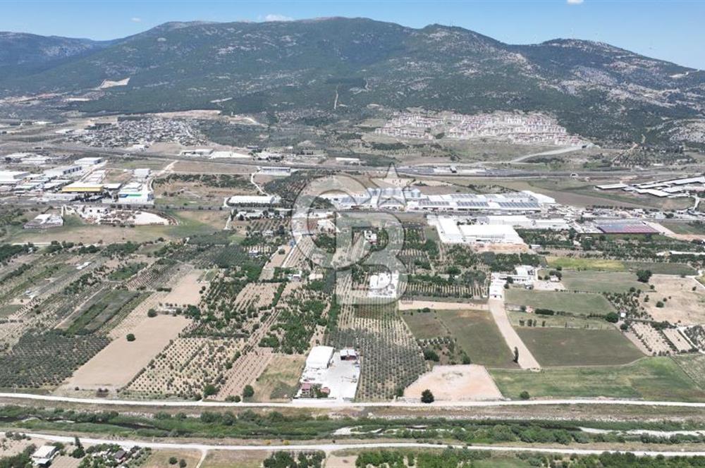 Kemalpaşa Akalan’ da Satılık Arazi