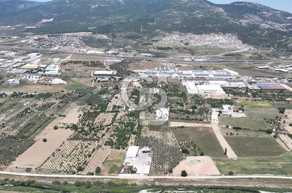 Kemalpaşa Akalan’ da Satılık Arazi