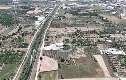 Kemalpaşa Akalan’ da Satılık Arazi