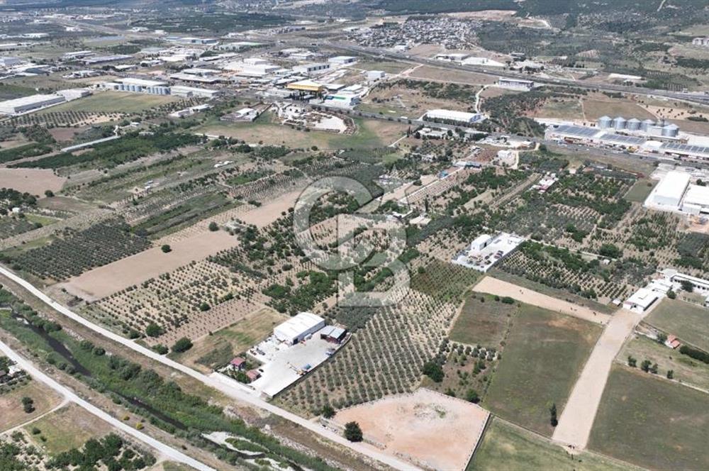 Kemalpaşa Akalan’ da Satılık Arazi