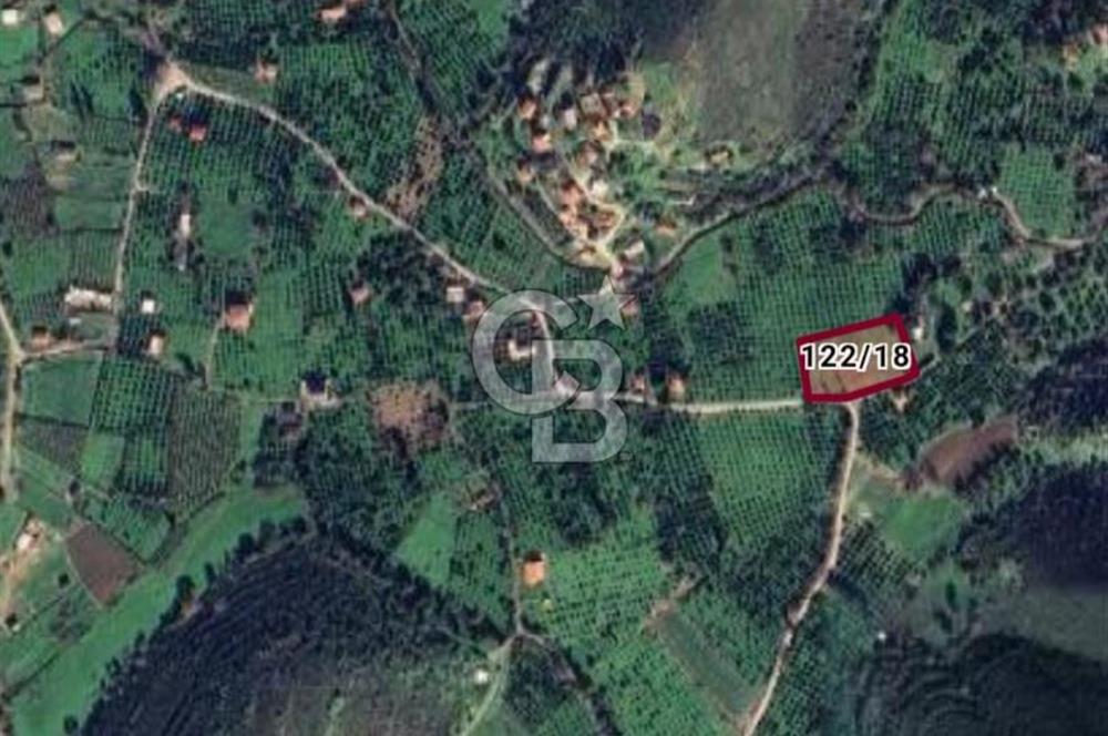 KARABURUN BADEMBÜKÜ'nde 3.157 m² YATIRIMLIK TARLA!