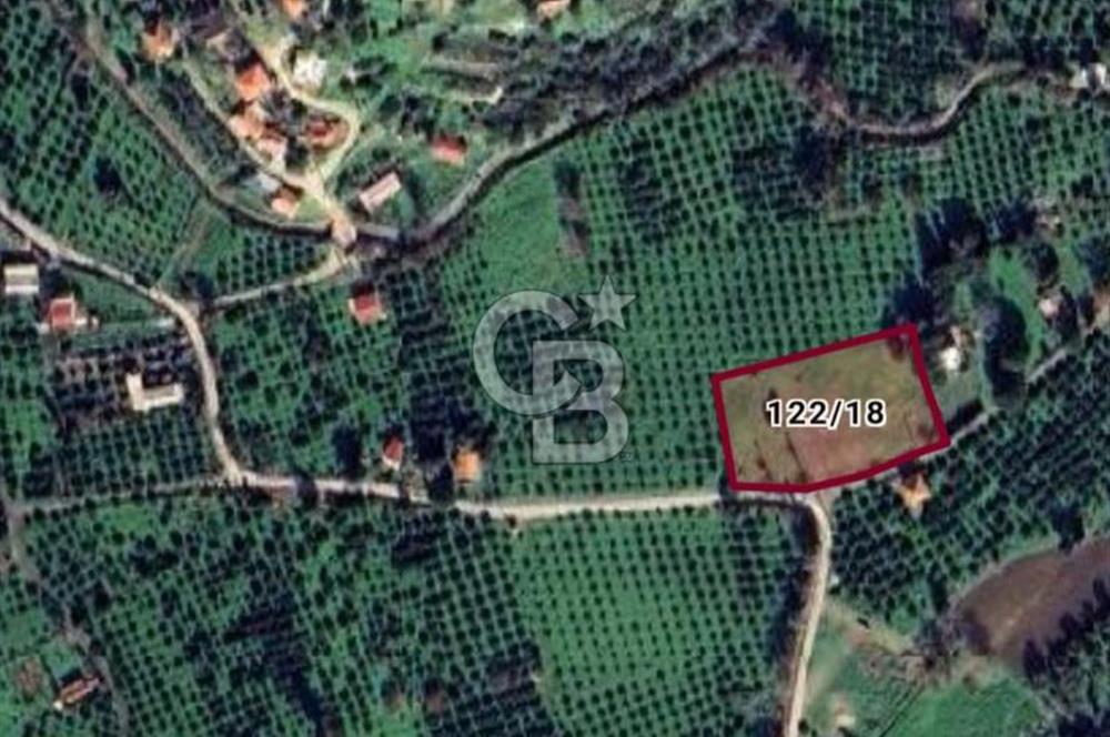 KARABURUN BADEMBÜKÜ'nde 3.157 m² YATIRIMLIK TARLA!