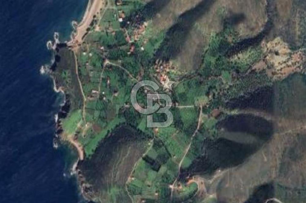 KARABURUN BADEMBÜKÜ'nde 3.157 m² YATIRIMLIK TARLA!