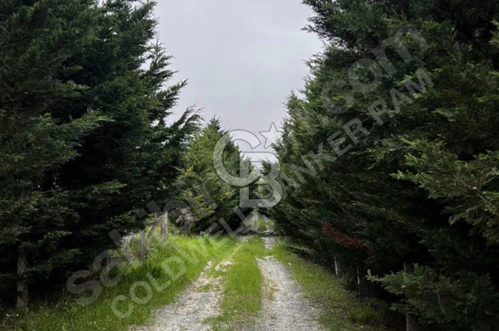 SAZLIBOSNA'DA ÇAPLI ÇEVRİLİ 300M2