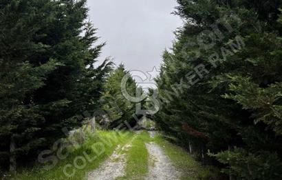 SAZLIBOSNA'DA ÇAPLI ÇEVRİLİ 300M2