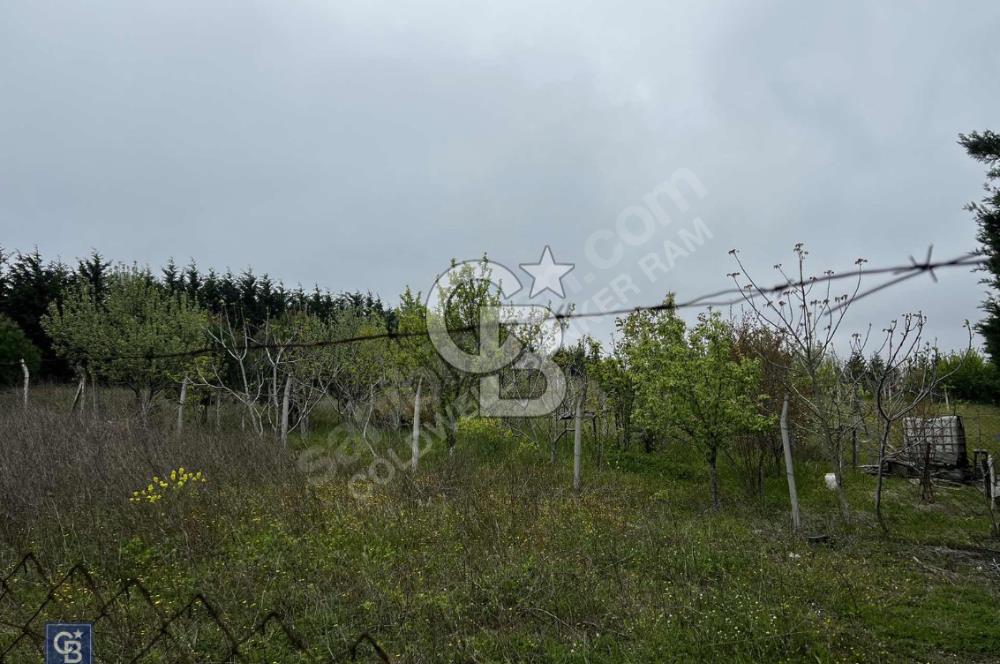 SAZLIBOSNA'DA ÇAPLI ÇEVRİLİ 300M2
