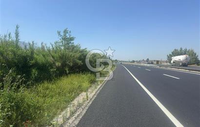 MANİSA - TURGUTLU ANA YOLU ÜZERİ ZEYTİNLİ TARLA
