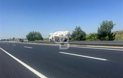 MANİSA - TURGUTLU ANA YOLU ÜZERİ ZEYTİNLİ TARLA