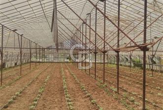ANTALYA KONYAALTI AŞAĞIKARAMAN KÖYÜNDE SATILIK ARSA