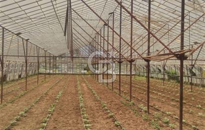 ANTALYA KONYAALTI AŞAĞIKARAMAN KÖYÜNDE SATILIK ARSA