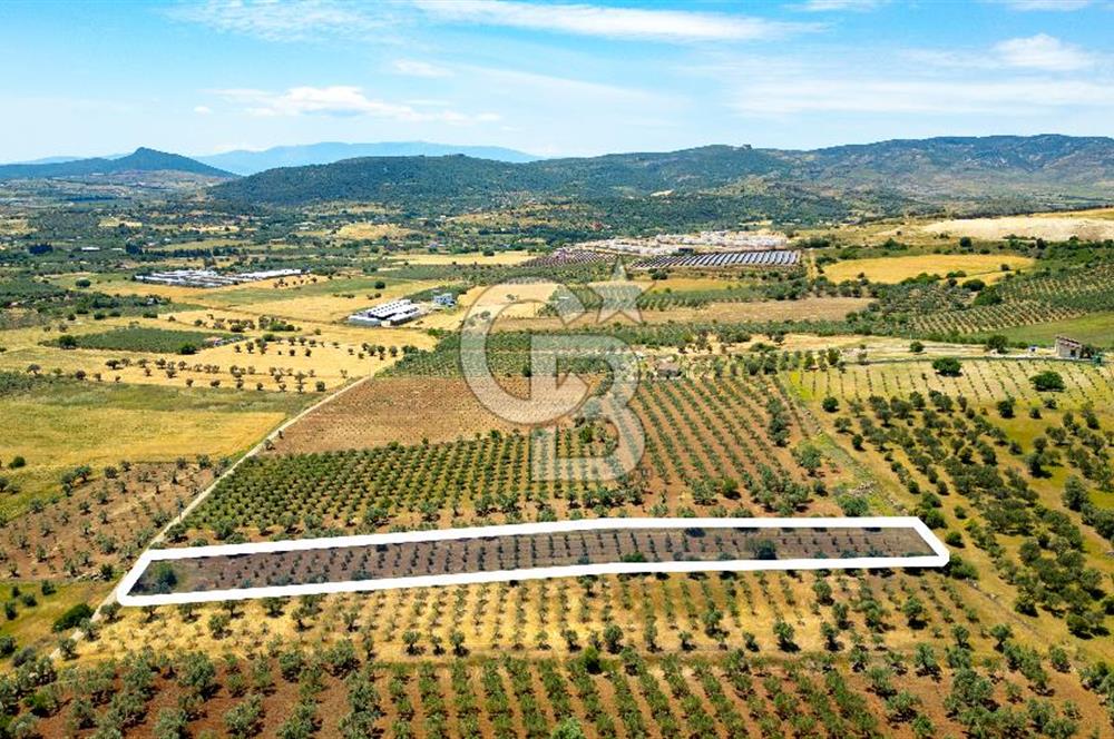Foça Kocamehmetler'de Satılık Tarla