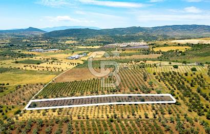Foça Kocamehmetler'de Satılık Tarla