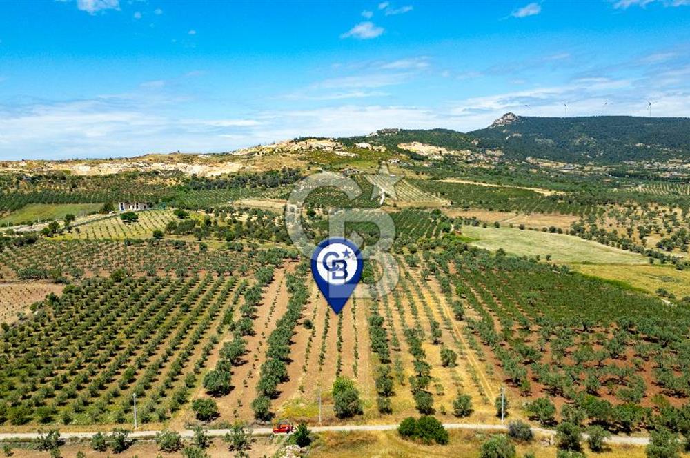 Foça Kocamehmetler'de Satılık Tarla