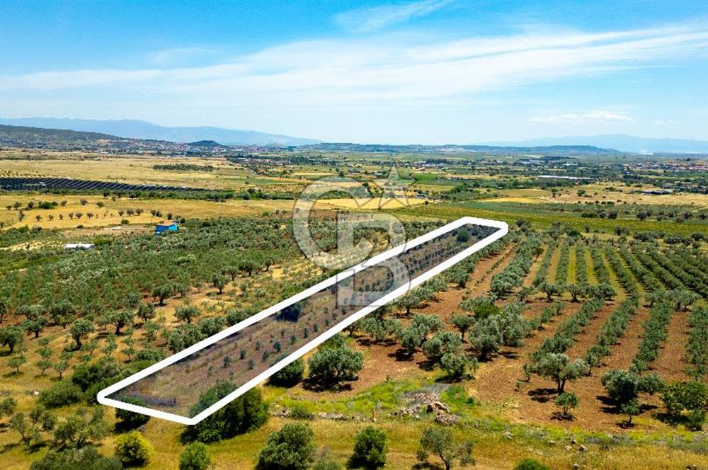 Foça Kocamehmetler'de Satılık Tarla