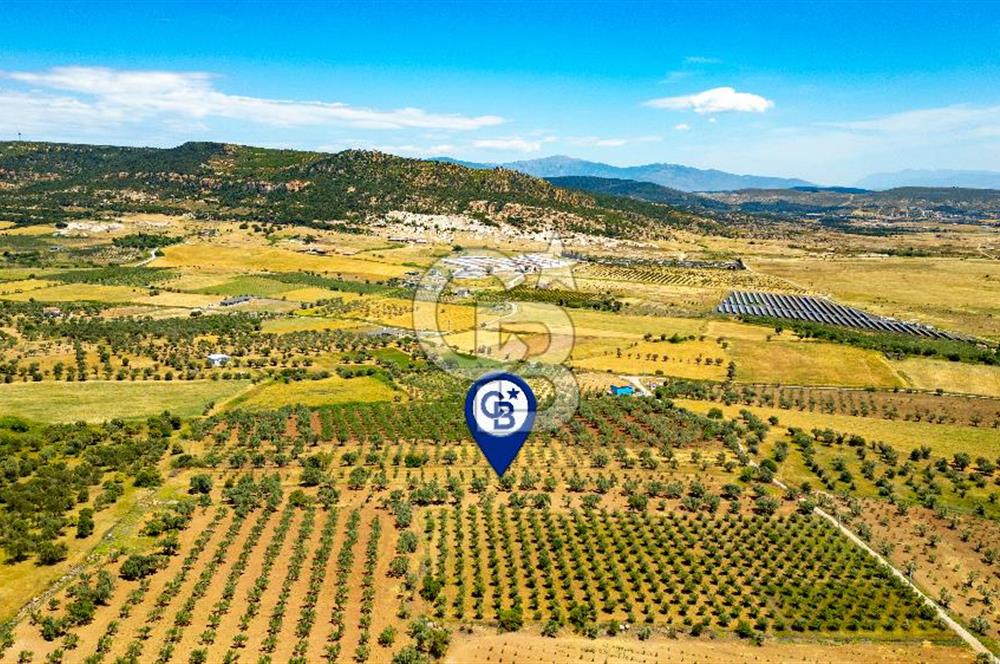Foça Kocamehmetler'de Satılık Tarla