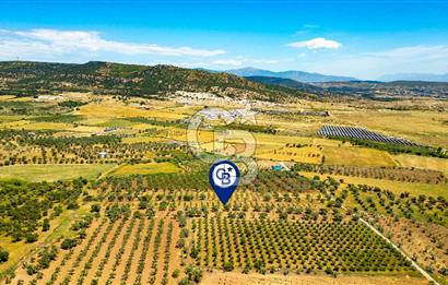 Foça Kocamehmetler'de Satılık Tarla