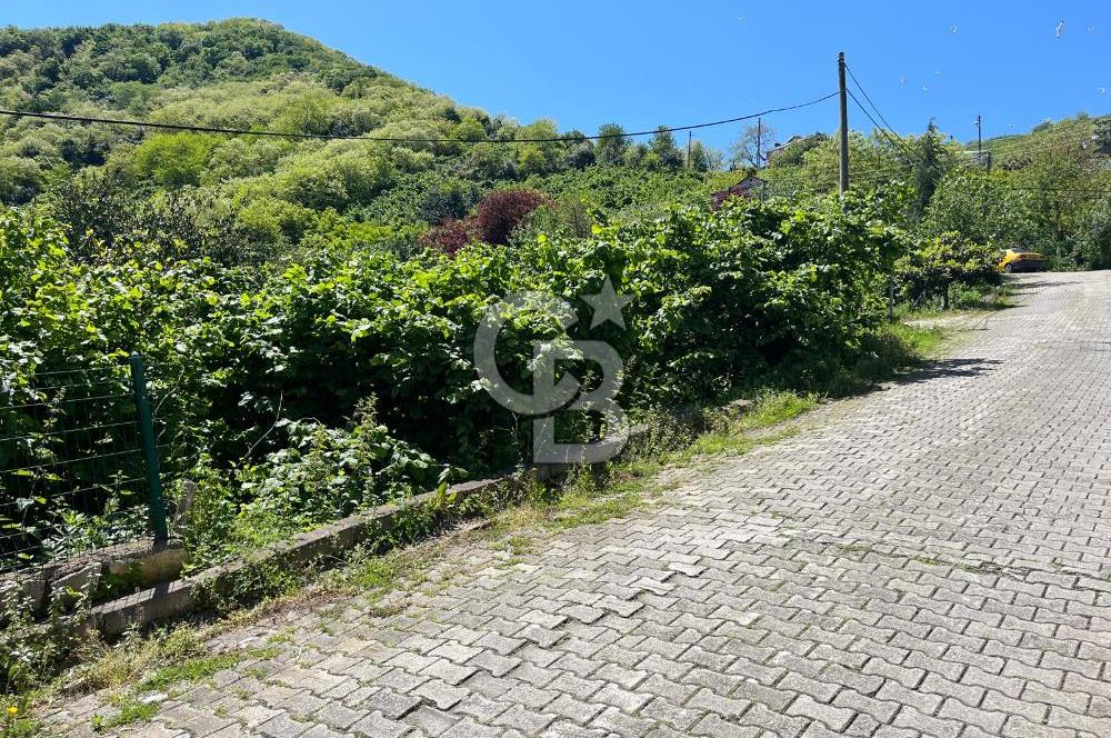 GÜZELYALIDA DENİZ MANZARALI 3 KAT İMARLI SATILIK ARSA