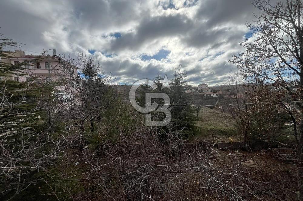 LALAHAN KARŞIYAKADA 2 KATLI 717 MT2 ARSALI ARSALI MÜSTAKİL EV