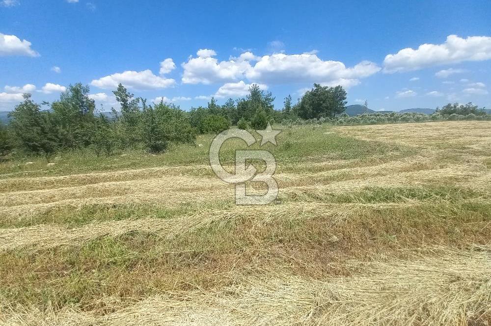 ÇAMKÖY MAH.SATILIK 17.000 m² KUPON TARLA