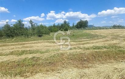 ÇAMKÖY MAH.SATILIK 17.000 m² KUPON TARLA