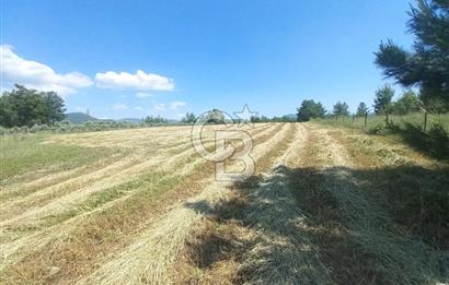 ÇAMKÖY MAH.SATILIK 17.000 m² KUPON TARLA