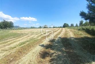 ÇAMKÖY MAH.SATILIK 17.000 m² KUPON TARLA