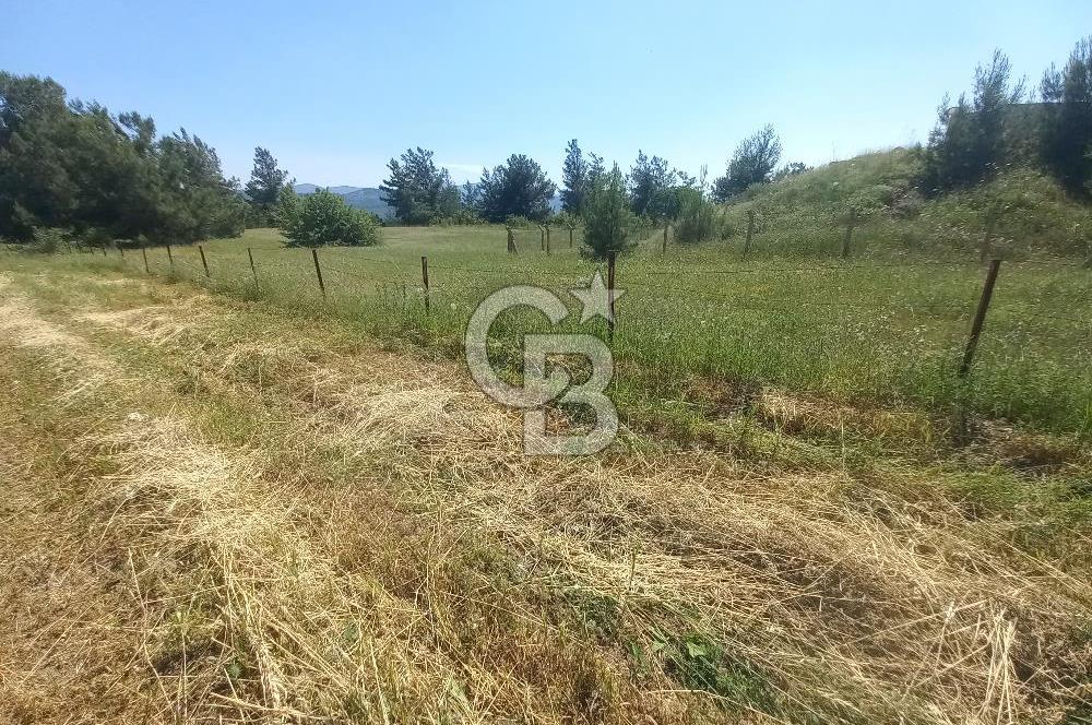ÇAMKÖY MAH.SATILIK 17.000 m² KUPON TARLA