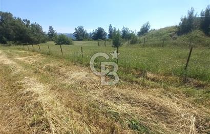 ÇAMKÖY MAH.SATILIK 17.000 m² KUPON TARLA