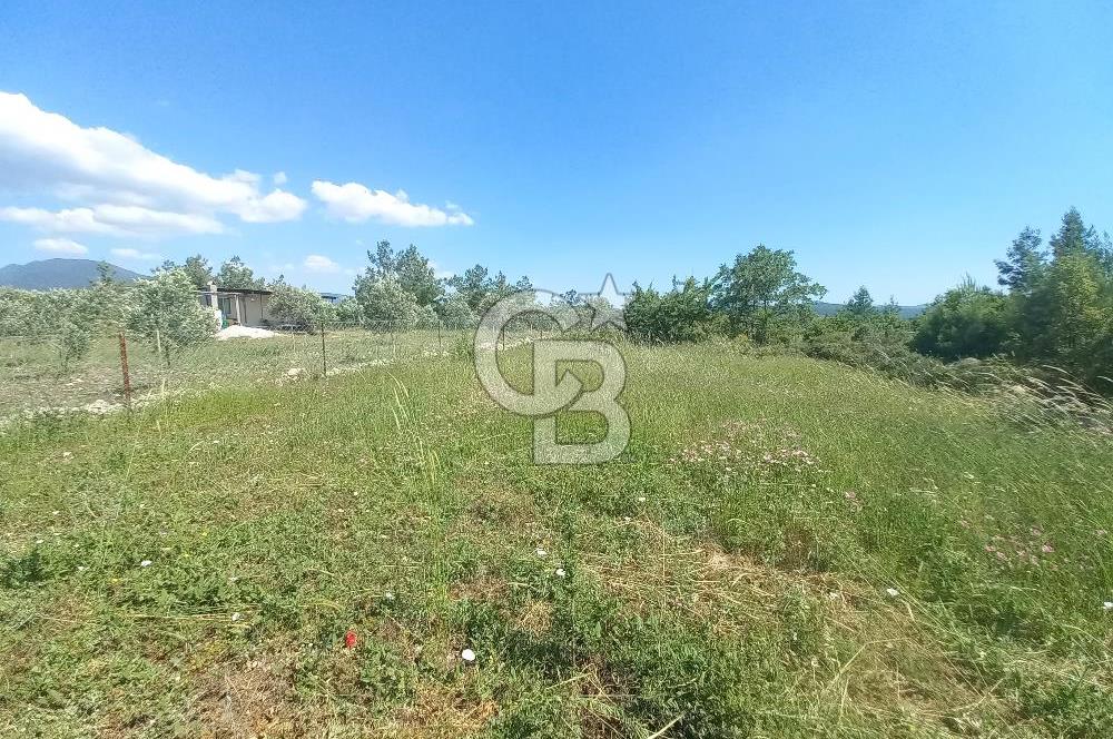 ÇAMKÖY MAH.SATILIK 17.000 m² KUPON TARLA