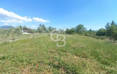 ÇAMKÖY MAH.SATILIK 17.000 m² KUPON TARLA
