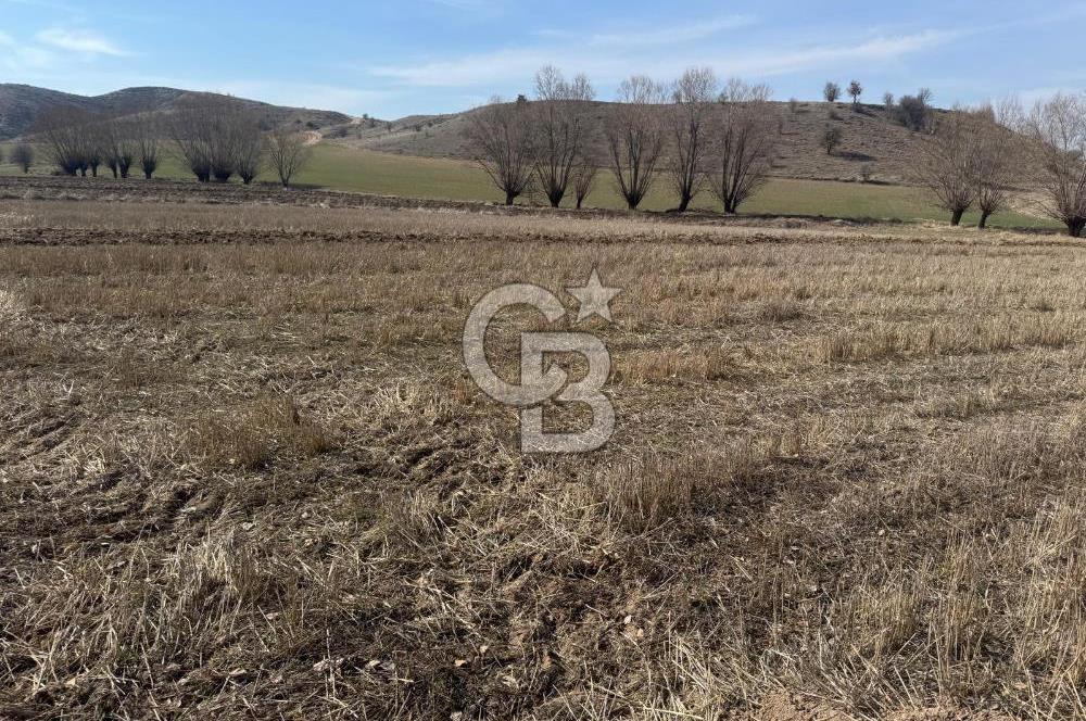 AYAŞ EVCİDE TEK TAPU KÖYE YAKIN SULAK 5269 MT ARAZİ