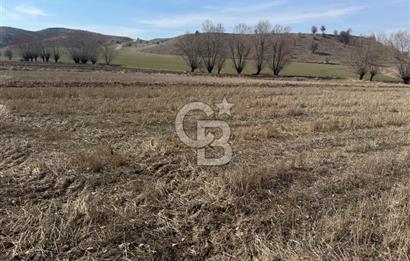 AYAŞ EVCİDE TEK TAPU KÖYE YAKIN SULAK 5269 MT ARAZİ