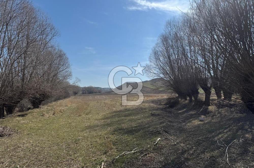 AYAŞ EVCİDE TEK TAPU KÖYE YAKIN SULAK 5269 MT ARAZİ
