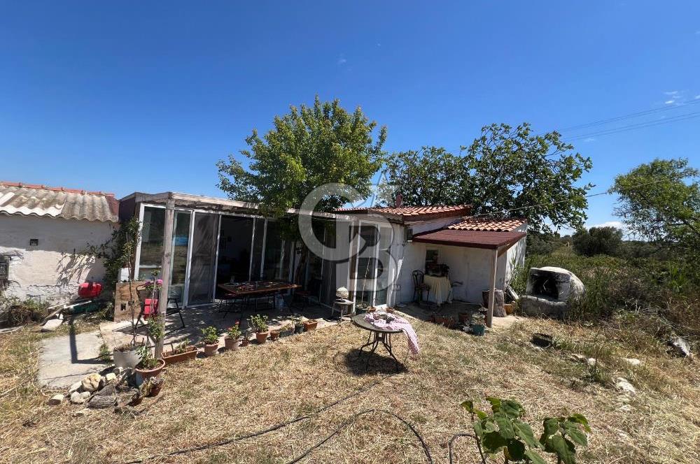 BOZCAADA AMERİKAN ÇEŞMESİ MEVKİ SATILIK BAĞ EVİ
