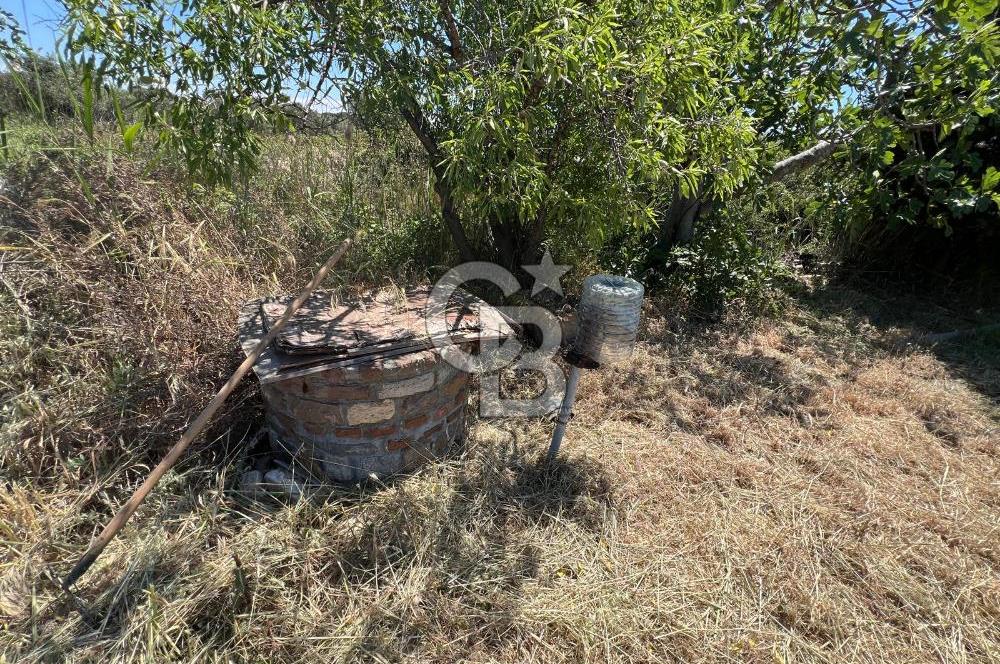 BOZCAADA AMERİKAN ÇEŞMESİ MEVKİ SATILIK BAĞ EVİ