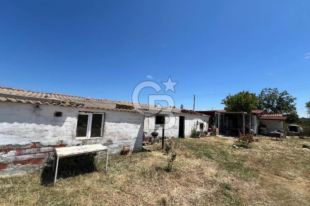 BOZCAADA AMERİKAN ÇEŞMESİ MEVKİ SATILIK BAĞ EVİ