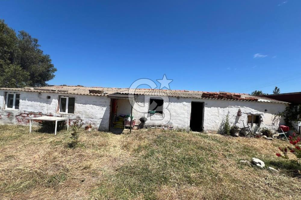BOZCAADA AMERİKAN ÇEŞMESİ MEVKİ SATILIK BAĞ EVİ