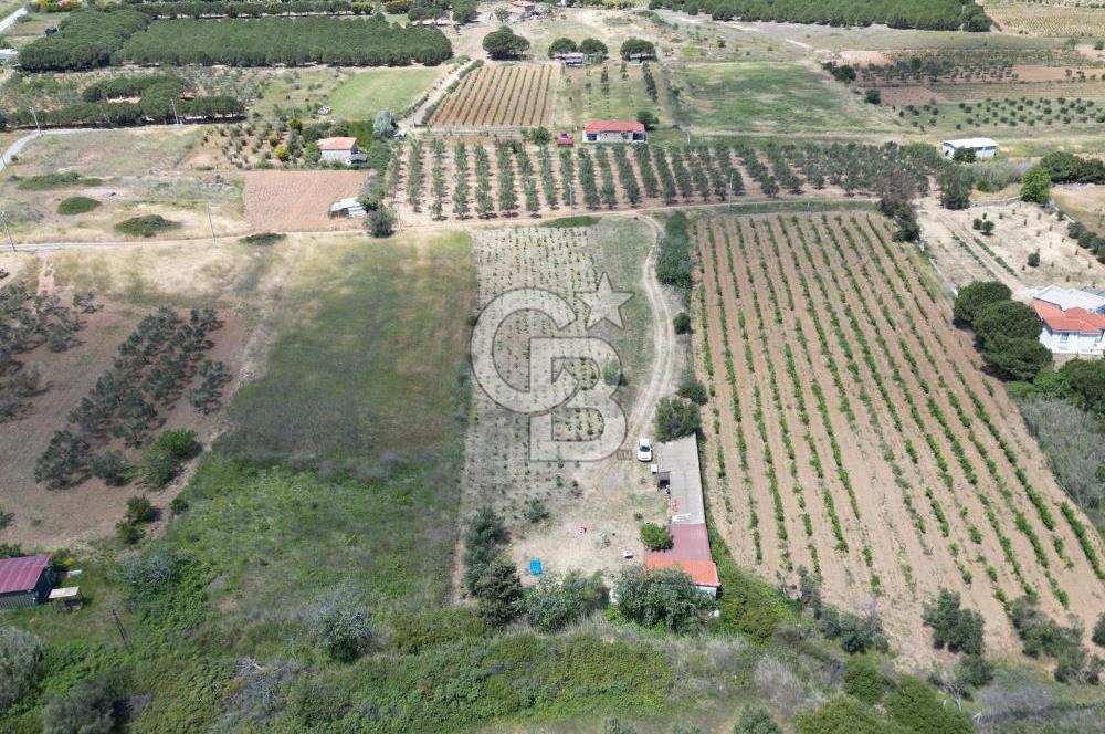 BOZCAADA AMERİKAN ÇEŞMESİ MEVKİ SATILIK BAĞ EVİ