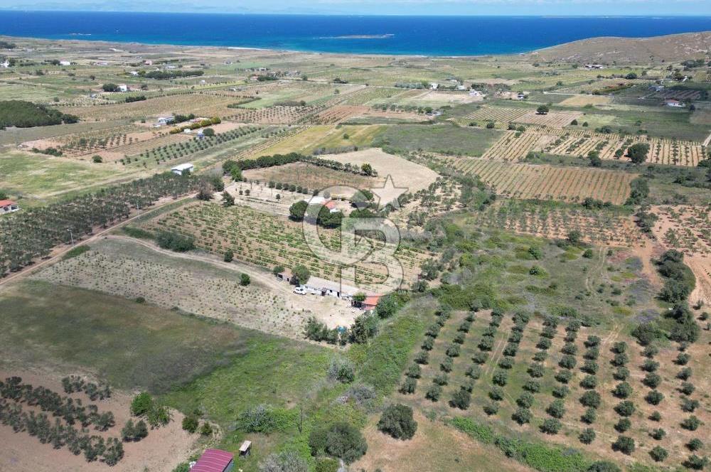 BOZCAADA AMERİKAN ÇEŞMESİ MEVKİ SATILIK BAĞ EVİ