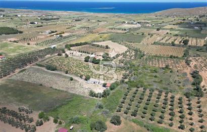 BOZCAADA AMERİKAN ÇEŞMESİ MEVKİ SATILIK BAĞ EVİ