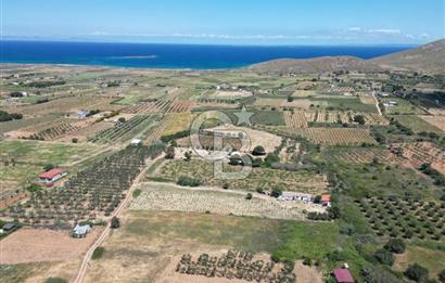 BOZCAADA AMERİKAN ÇEŞMESİ MEVKİ SATILIK BAĞ EVİ