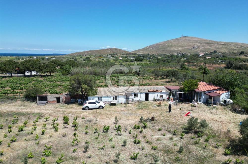 BOZCAADA AMERİKAN ÇEŞMESİ MEVKİ SATILIK BAĞ EVİ