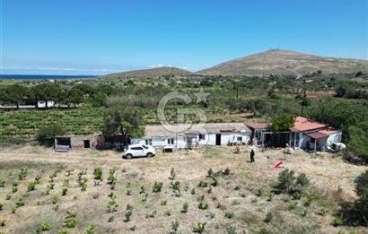 BOZCAADA AMERİKAN ÇEŞMESİ MEVKİ SATILIK BAĞ EVİ
